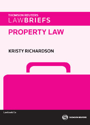 LawBriefs: Property Law eBook