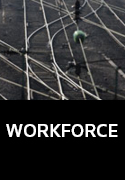 Workforce Email