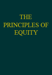 Principles of Equity 2nd Edition - PDF
