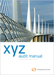 XYZ Audit Manual - Checkpoint online