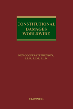 Constitutional Damages Worldwide