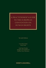 Picture of A Practitioner's Guide to the European Convention on Human Rights 7th Edition