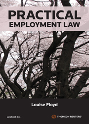 Practical Employment Law First Edition eBook