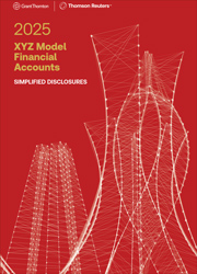 Picture of XYZ Model Financial Accounts - Simplified Disclosure 2025